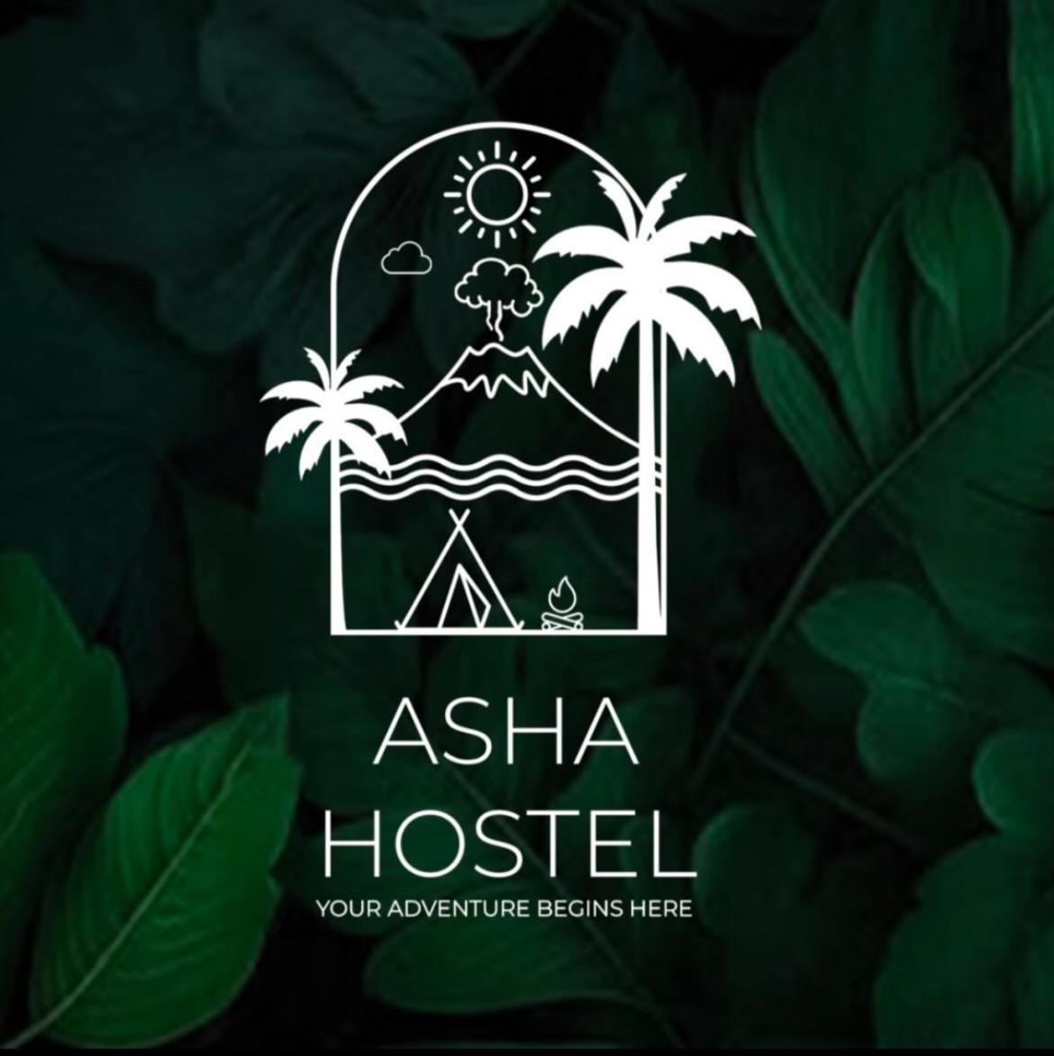 Asha Hostel La Fortuna Εξωτερικό φωτογραφία